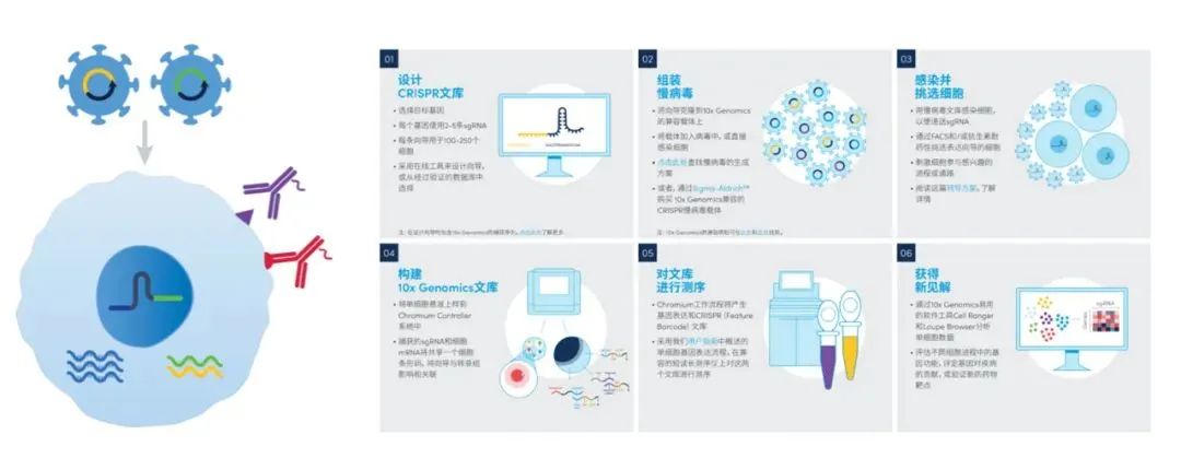 微信图片_20230207162936.jpg