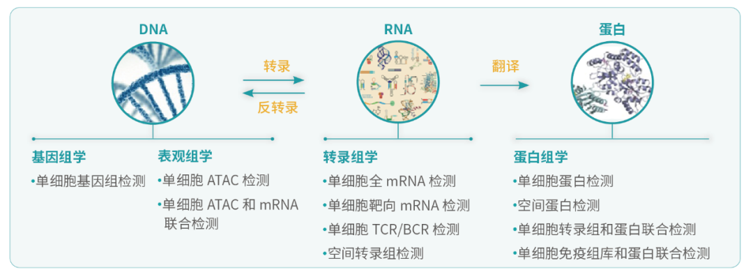 微信图片_20230207162946.png