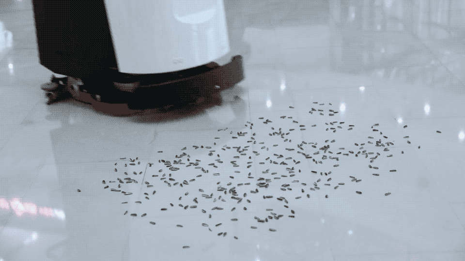 微信图片_20230420142807.gif