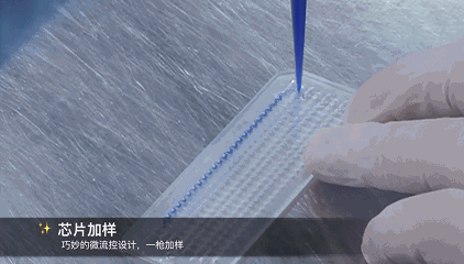 微信图片_20241015134341.gif