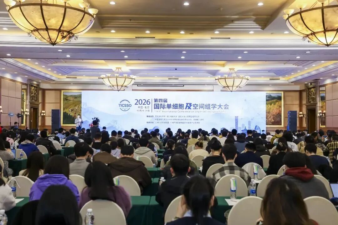 1775625603264645.jpg 微信图片_2026-04-08_131912_973.jpg